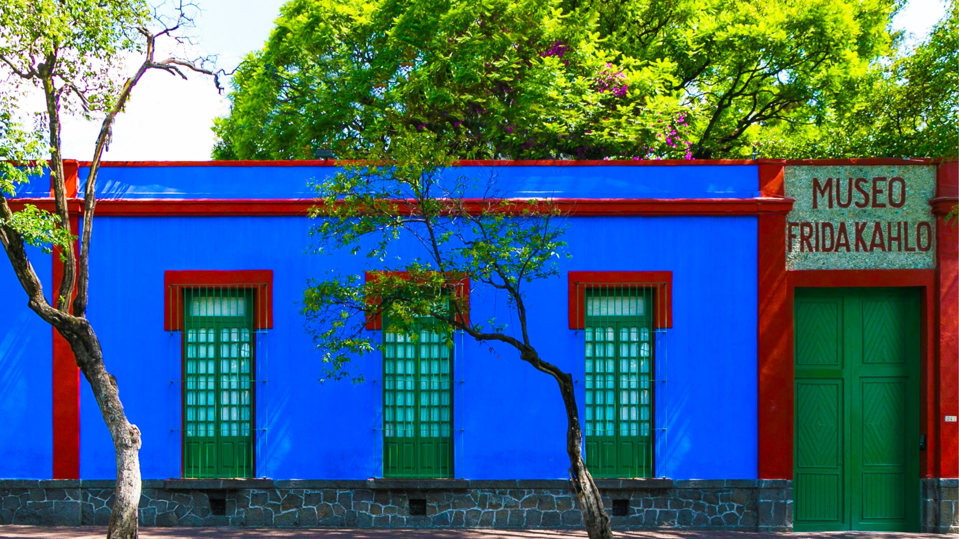 Museo | Museo Frida Kahlo