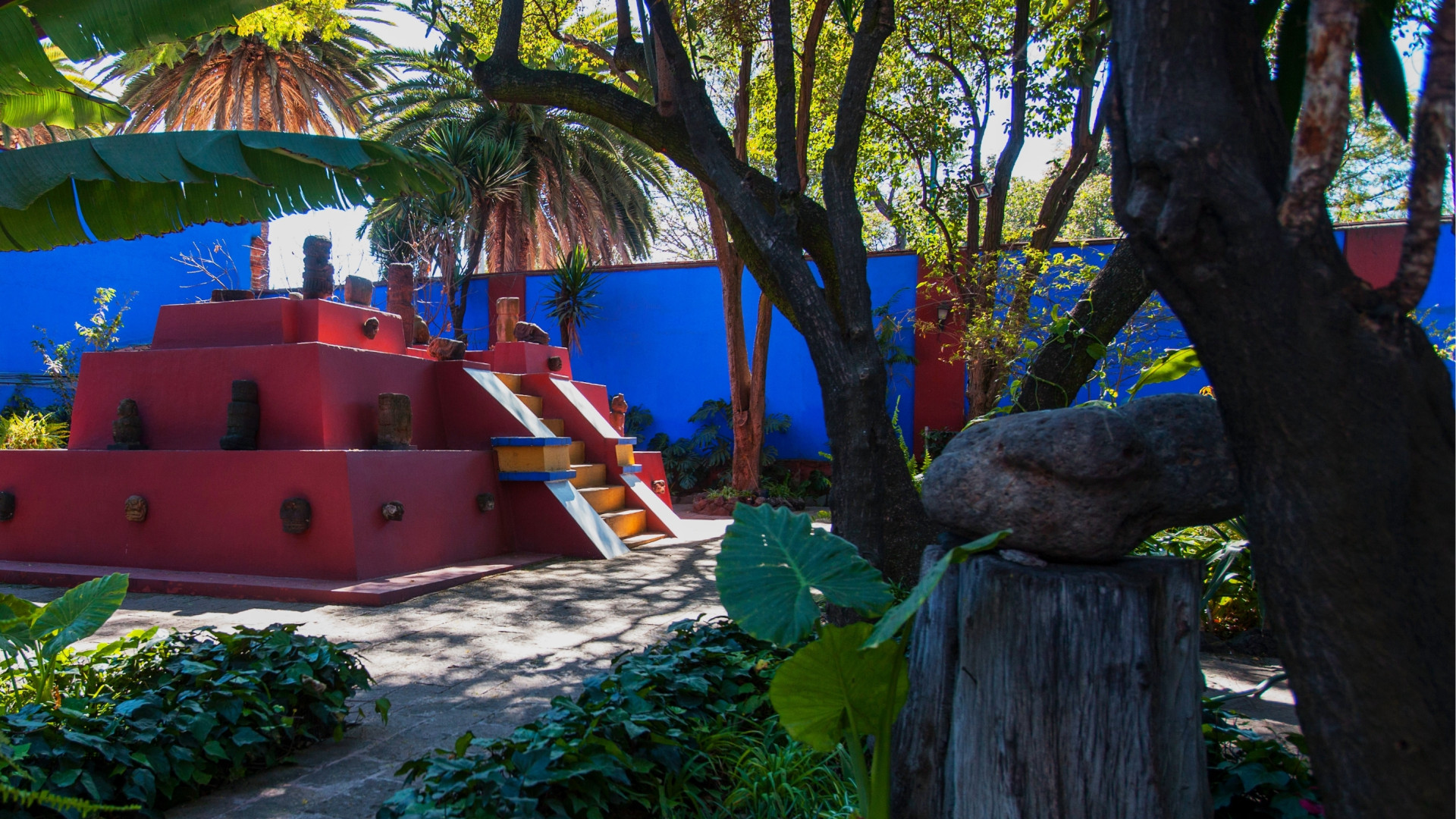 visit the frida kahlo museum