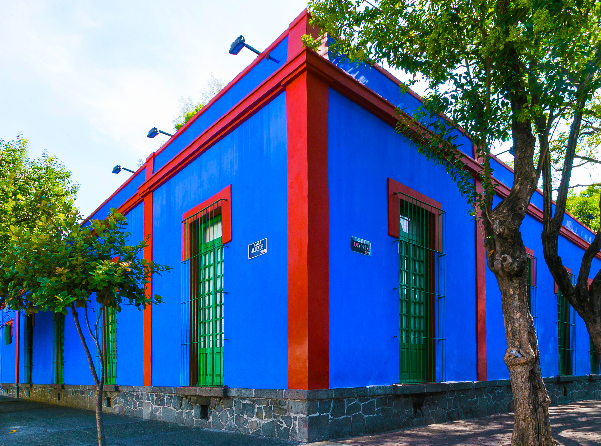 visit the frida kahlo museum